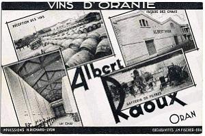 Oran Pub vins 253